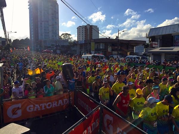 Los números de la San Silvestre 2015